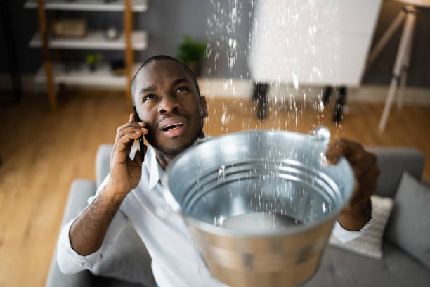 Best 24-hour water damage restoration  in Portland, IN