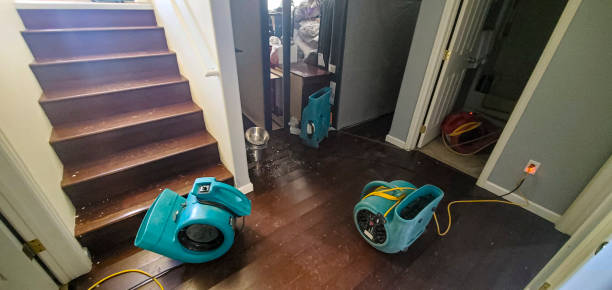 Best Emergency water damage restoration  in Portland, IN