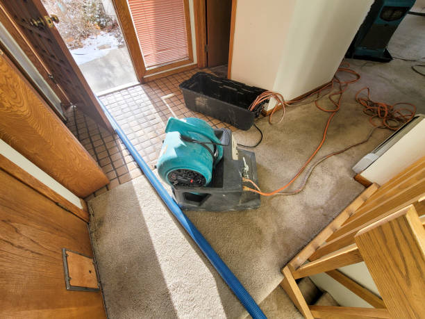  Portland, IN Water damage restoration Pros