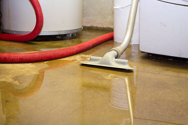 Best Flooded house restoration  in Portland, IN