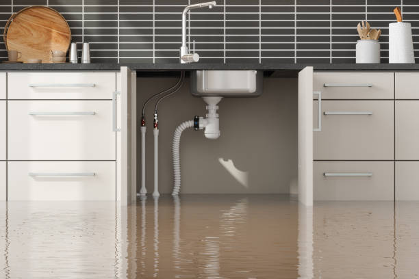 Best Residential water damage restoration  in Portland, IN