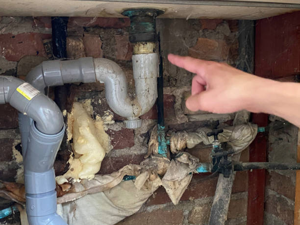 Best Flood damage cleanup  in Portland, IN