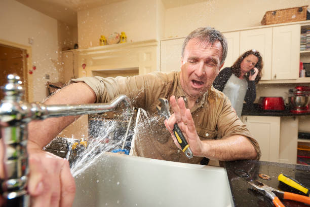 Best Carpet water damage restoration  in Portland, IN